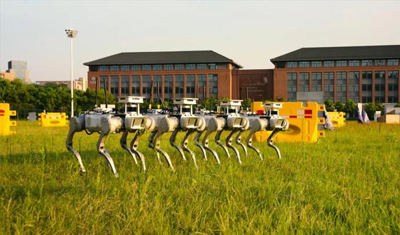 The first to realize robot dog fleet unknown environment exploration in the world.